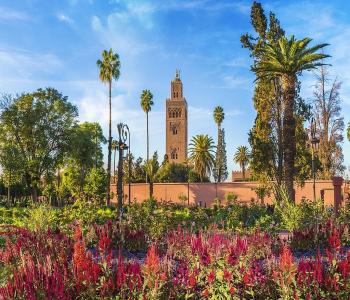 Visit Koutoubia Mosque