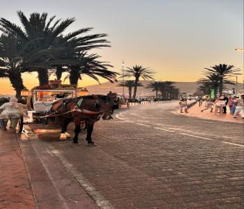 Best places to visit near Agadir