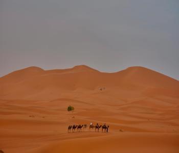 Ouarzazate Tinghir Zagora