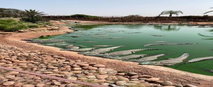 Crocoparc Agadir