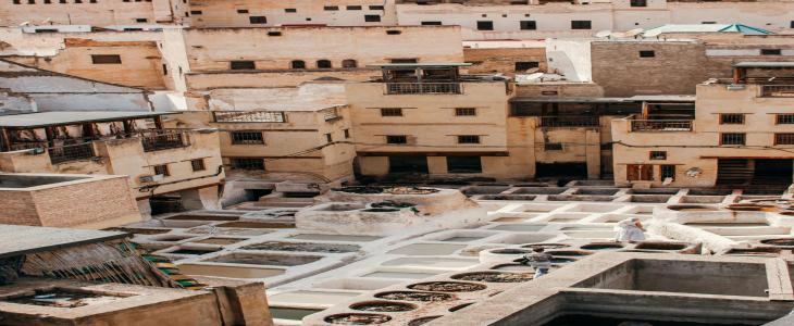 Chouara Tannery