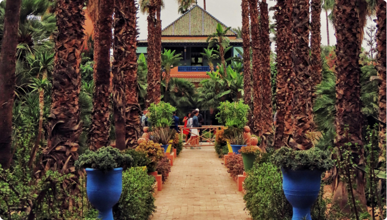 Photograph: Tugce Turan / pexels.com / Majorelle Garden