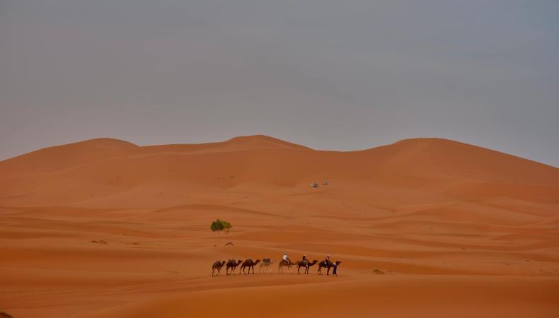 Ouarzazate camel rides in the Desert 