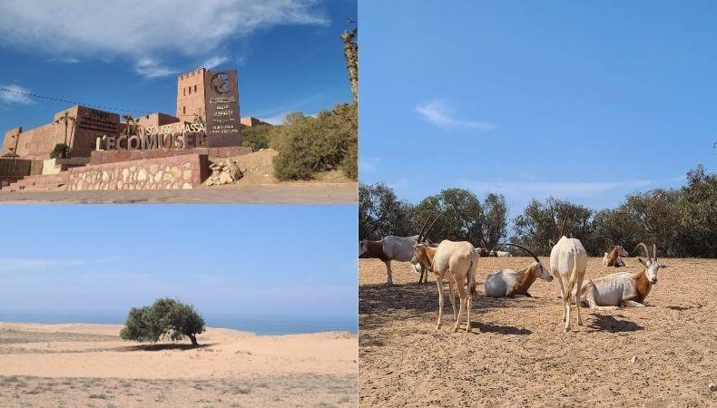 Souss Massa National Park Agadir